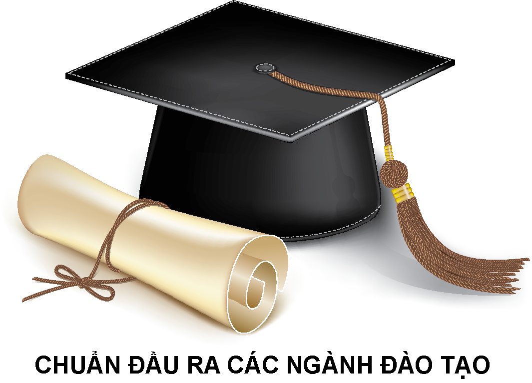 CHUẨN ĐẦU RA NGÀNH THƯƠNG MẠI ĐIỆN TỬ